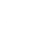msn - white msn white