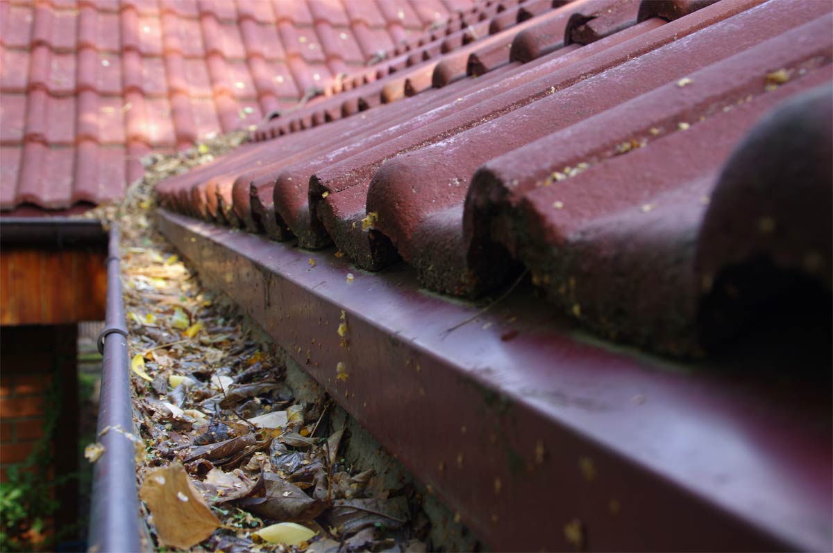 replacing roof tiles with colorbond