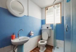 toilet-250x171
